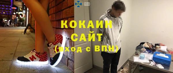 крисы Богородск