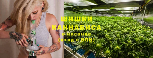 крисы Богородск