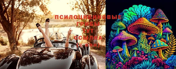 крисы Богородск