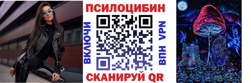 Купить где  Нестеров  Галлюциногенные грибы Cubensis 